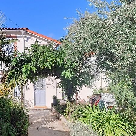 Studio Avec Jardin A 10 Mn A Pied Du Centre Ville Toulouse Exteriör bild
